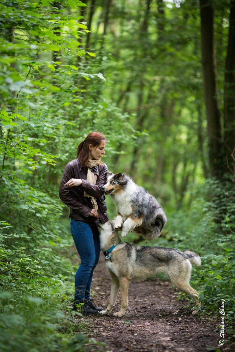 Le clicker en éducation canine pour ou contre Et comment ça marche L Agence tous chiens