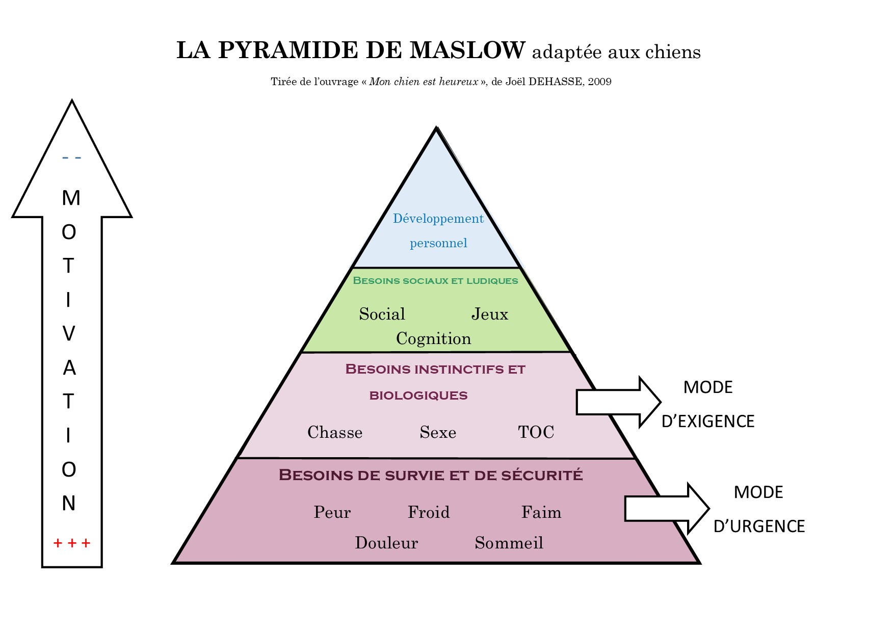 La Pyramide De Maslow Ou Pyramide Des Besoins Du Chien L Agence Tous Chiens
