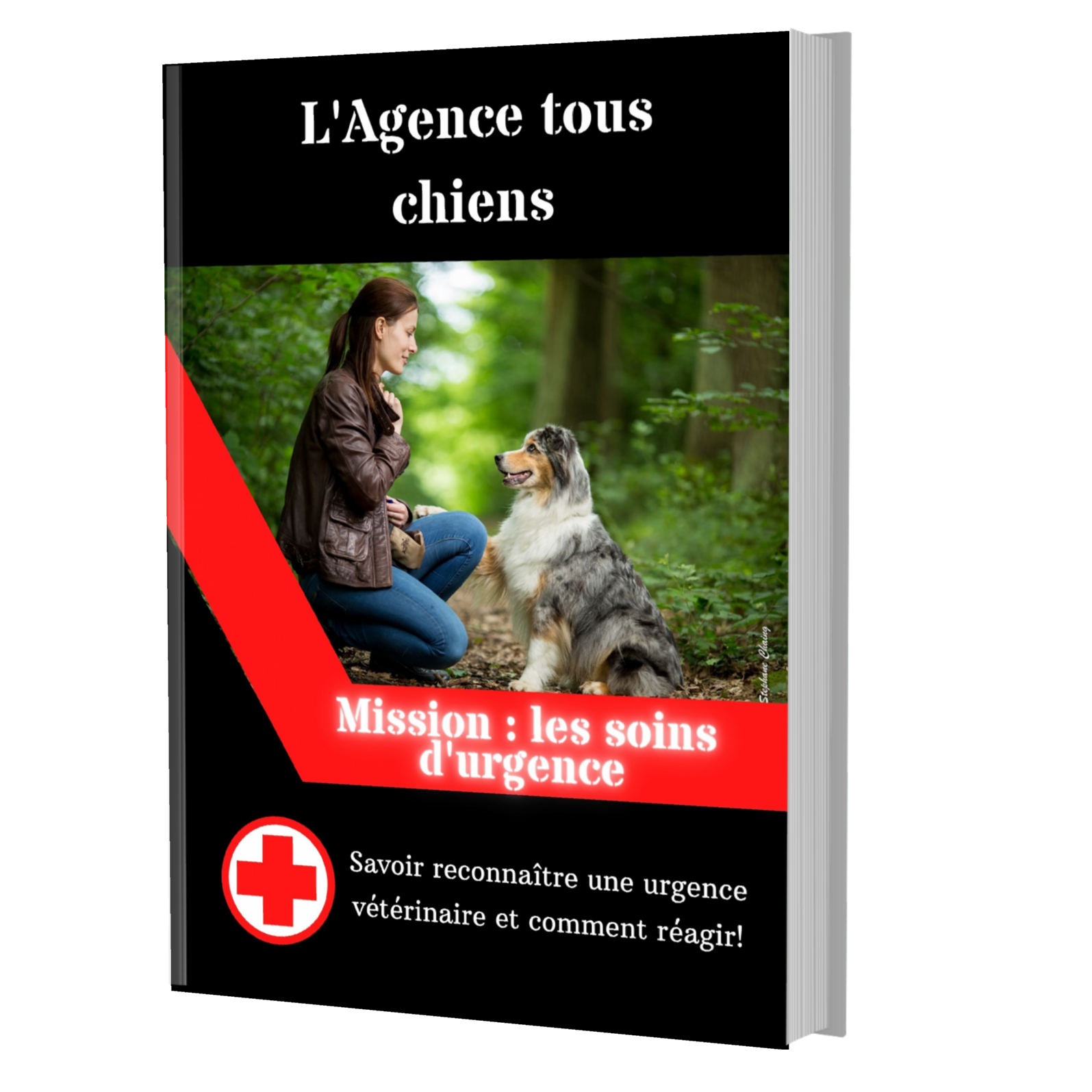 couverture e book