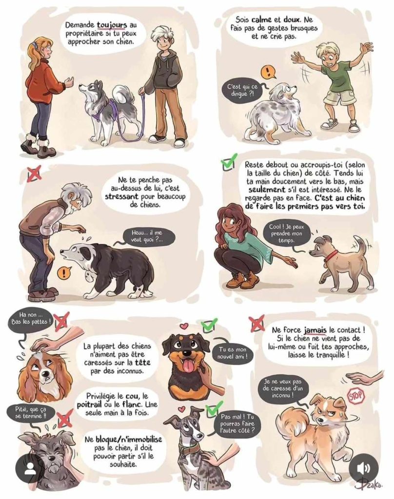 Voici une illustration d'une situation rencontrée de nombreuses fois par votre chien! Quelqu'un souhaite le caresser MAIS est-il d'accord pour cela ?